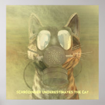 Schrödinger unterschätzt das Katzenplakat
