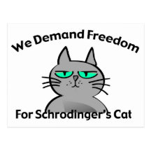 Schrodingers Katzelustiger Geek-Spaß Postkarte