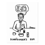 Schroedingers Ei-Postkarte