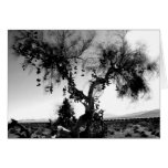 Schuh-Baum Karten