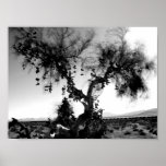 Schuh-Baum Plakatdrucke