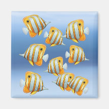Schule des Copperband Schmetterlings-Fisch-Magnete