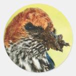 Schwalbenvogelaufkleber