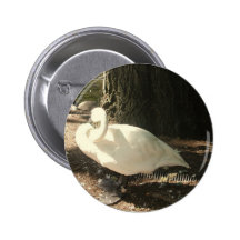 Schwan Button