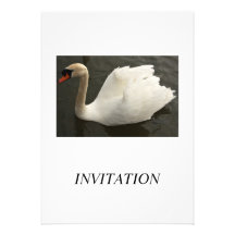 Schwan-Einladung