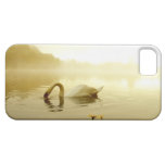 Schwan iPhone 5 Schutzhülle