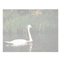 Schwan Personalisierte Einladungskarte