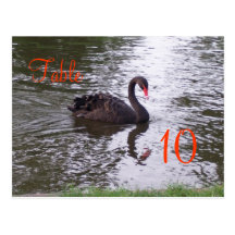 Schwan-Tischnummer Postkarte