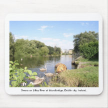 Schwäne auf Fluss Liffey, Islandbridge, Dublin-Sta Mousepads