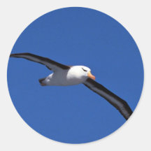Schwarz-Browed Albatros im Flug Runde Aufkleber