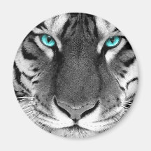 Schwarz-weißer Tiger Kühlschrankmagnete