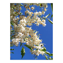 Schwarze Bienen-Blume 2 poster