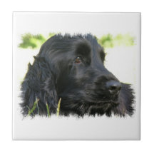 Schwarze Cocker spaniel-Hundefliese