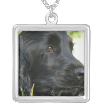 Schwarze Cocker spaniel-Hundehalskette