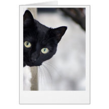 Schwarze Katze Karte