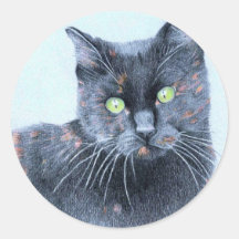 Schwarze Katzen-Aufkleber