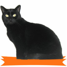 Schwarze Katzen-Halloween-Party-Foto-Skulptur Photo Figur