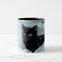 Schwarze Katzen-Schale Tee Tassen
