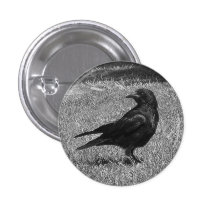 Schwarze Krähe Anstecknadelbutton