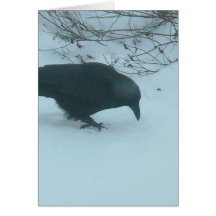 Schwarze Krähe im Winter Grußkarte