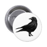 Schwarze Krähenknöpfe Buttons