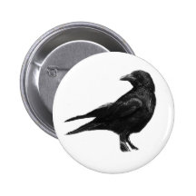 Schwarze Krähenknöpfe Buttons