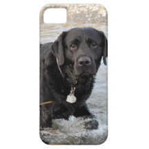 Schwarze Labrador-Liebe Schutzhülle Fürs iPhone 5