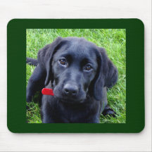 Schwarze Labrador-WelpenMausunterlage Mauspad