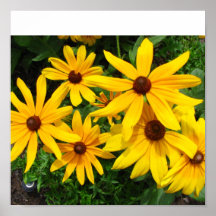 schwarze mit Augen susans Plakat
