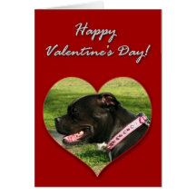 Schwarze Pitbull Valentinstag-Karte