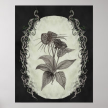 Schwarze Schläger-Pflanzen-botanischer Druck Posterdruck