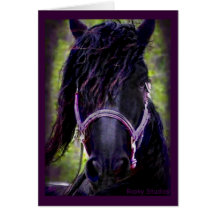 Schwarze Stallions-Karte
