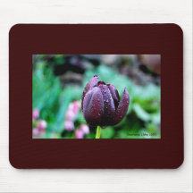 Schwarze Tulpe Mousepad
