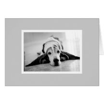Schwarze u. weiße Basset Hound-Karte