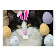 Schwarze u. weiße Katze Ostern Karten