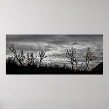 Schwarze u. weiße Landschaft Plakatdruck