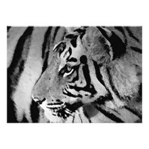 Schwarze u. weiße Tiger-Einladung