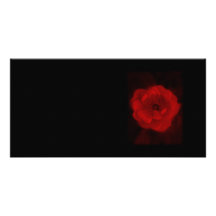 Schwarze und rote Rose Bilderkarte