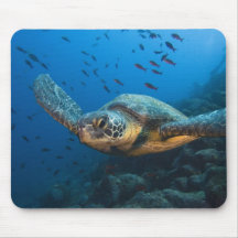 Schwärzen Sie (grüne) Schildkröte (Chelonia agassi Mousepad