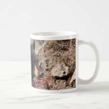 Schwarzer Bär Kaffee Haferl