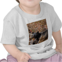 Schwarzer Bär T-shirts