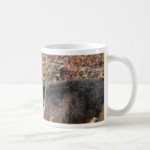 Schwarzer Bär Teetasse