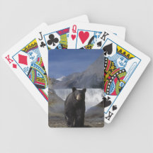 Schwarzer Bär u. Rocky Mountains-Wasserfall-wild l Spielkarten