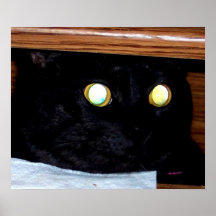 SCHWARZER KATZENARTIGER MARBLEGLOWING AUGEN-DRUCK  POSTERDRUCK