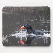 Schwarzer Labrador, der floatie holt Mousepads