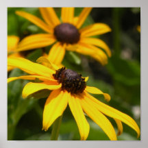 Schwarzer mit Augen Susans Druck Posterdrucke