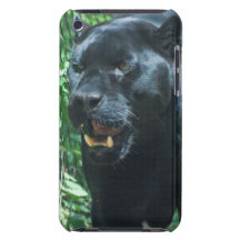 Schwarzer Panther-Katze iTouch Fall iPod Touch Case-Mate Hülle