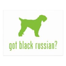 Schwarzer Russe Terrier Postkarten