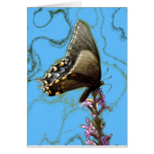 Schwarzer Schmetterling Karten