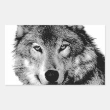 Schwarzer u. weißer Wolf Aufkleber
